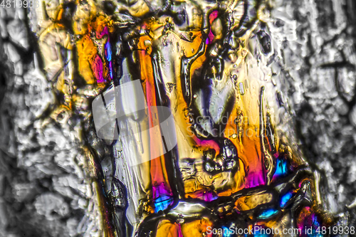 Image of Ammonium sulfate microcrystals