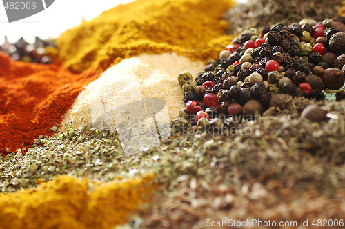 Image of Spices