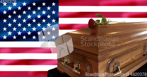 Image of rose flower on wooden coffin over american flag