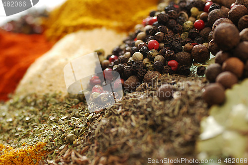 Image of Spices