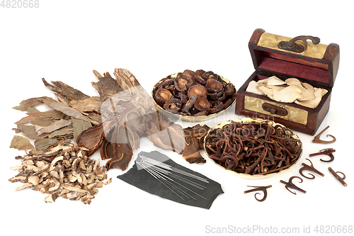 Image of Chinese Acupuncture and Herbs for Holistic Health Care