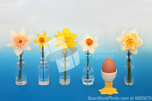 Image of Daffodil Flowers and Symbols of Spring and Easter