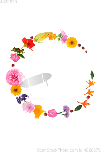 Image of Abstract Medicinal Herb and Flower Wreath
