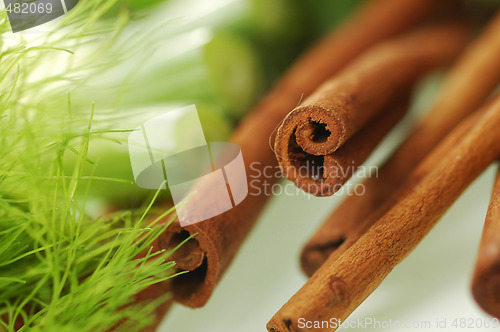 Image of Spices
