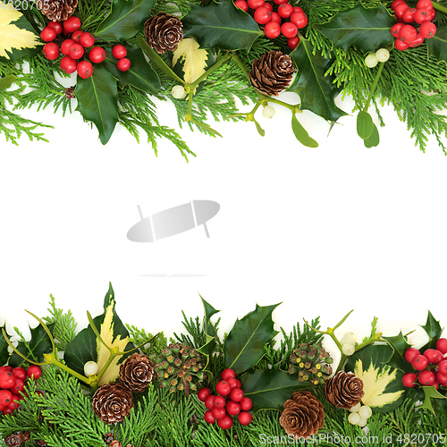 Image of Winter Greenery for Christmas and New Year Background  