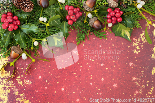 Image of Natural Winter Greenery Abstract Background Border 
