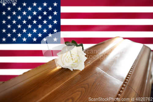 Image of white rose on wooden coffin over flag of america