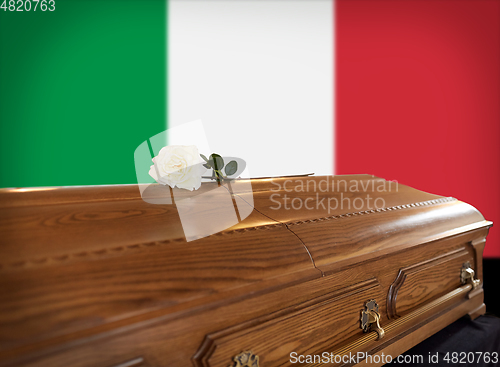 Image of rose flower on wooden coffin over flag of italy