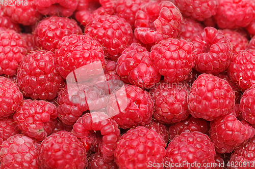 Image of raspberry berries isolated on white