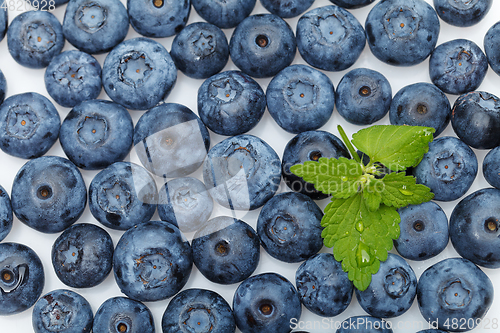 Image of blueberry berries isolated on white background