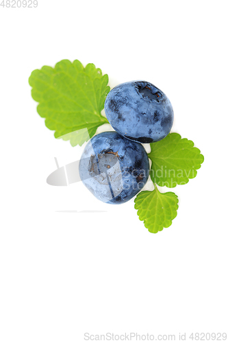 Image of blueberry berries isolated on white background