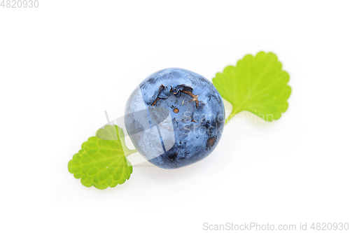Image of blueberry berries isolated on white background