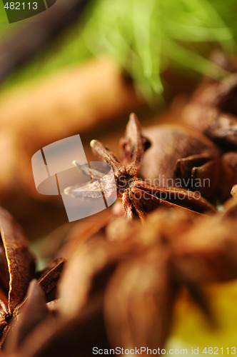 Image of Aromatic spices