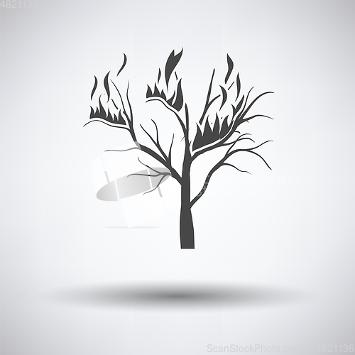 Image of Wildfire icon