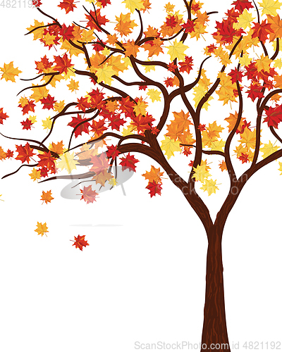 Image of Autumn