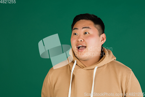 Image of Asian man\'s portrait isolated over green studio background with copyspace