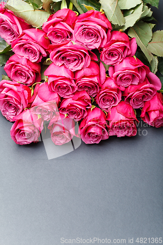 Image of pink roses isolated on white