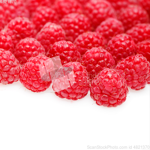 Image of many raspberry berries isolated on white