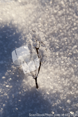 Image of Snow crystals winter