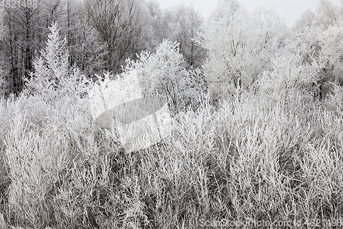 Image of Snow drifts in winter