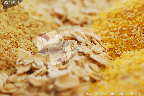 Image of Ingredients