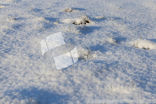 Image of After snowfall