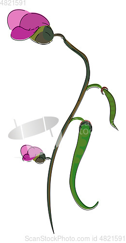 Image of Clipart of a green-colored bean plant vector or color illustrati