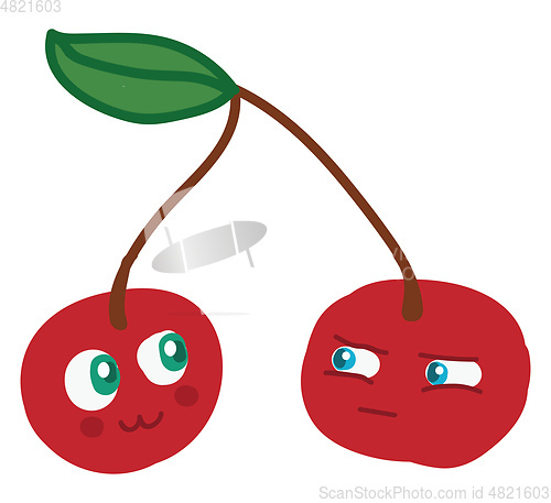 Image of A pair of cherries vector or color illustration