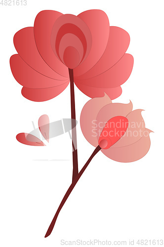 Image of Flowers vector color illustration.