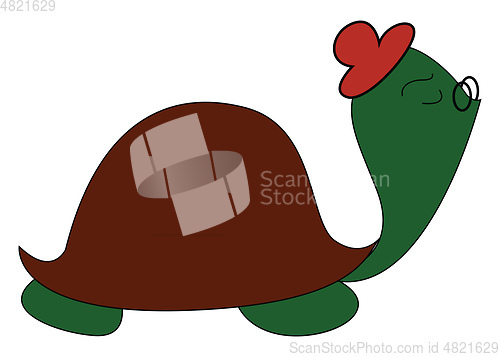 Image of Funny cartoon turtle set on isolated white background viewed fro