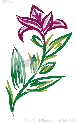 Image of A flowers peduncle vector or color illustration