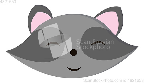 Image of Cartoon of the face of a raccoon smiling vector or color illustr