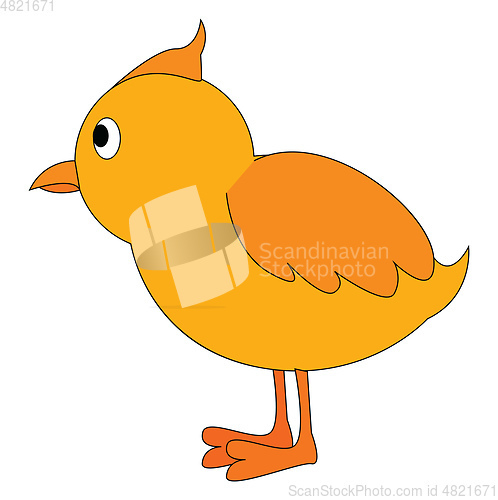Image of Clipart of a small yellow chick vector or color illustration