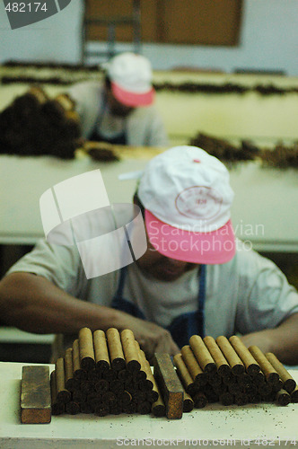 Image of Cigars