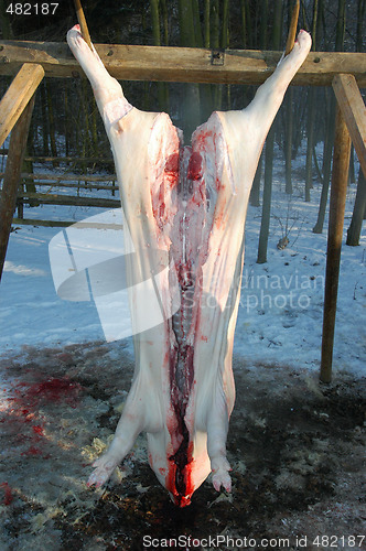 Image of Pig-slaughtering