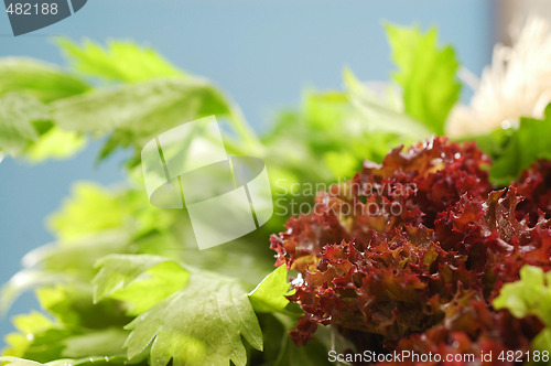 Image of Salad
