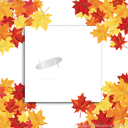 Image of Maple Frame