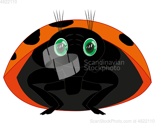 Image of Vector illustration of the cartoon insect ladybug