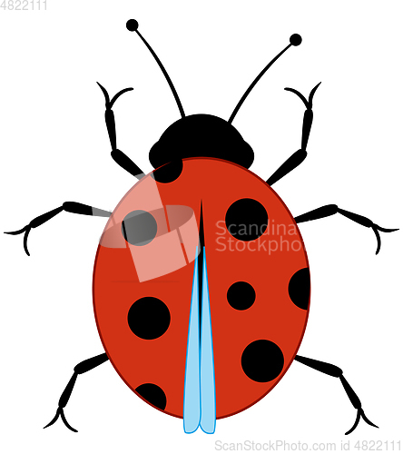 Image of Small beautiful spotted insect ladybug type overhand