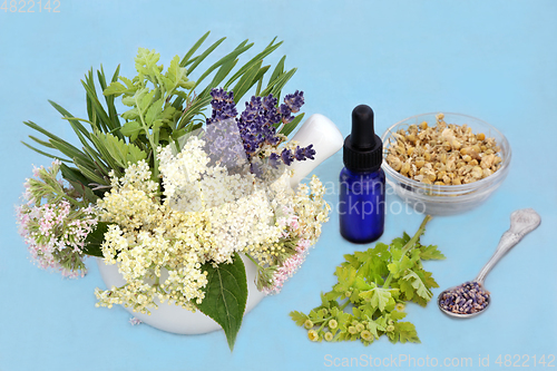 Image of Herbs and Flowers Plant Based Medicine to Treat Anxiety