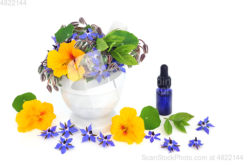 Image of Essential Oil for Natural Cold and Flu Remedy