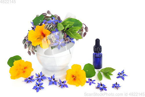 Image of Essential Oil for Natural Cold and Flu Remedy