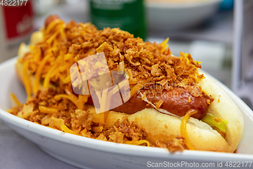 Image of Homemade hot dog with Cheddar cheese and onions