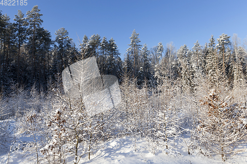 Image of Snow drifts in winter