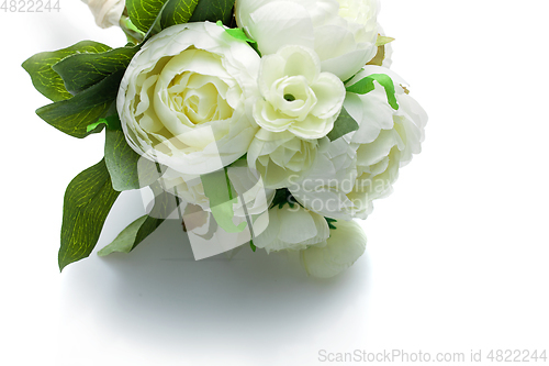 Image of peony flowers isolated on white