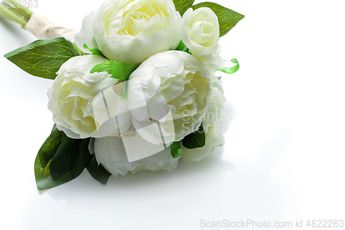 Image of peony flowers isolated on white