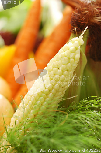 Image of Vegetable