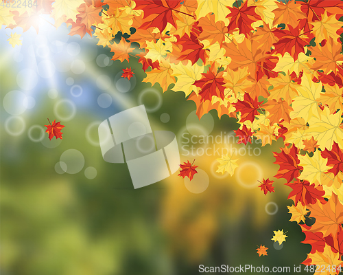 Image of Autumn background