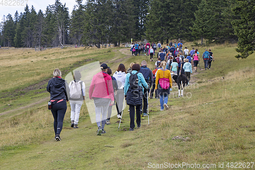 Image of Big group of people walking by hiking trail