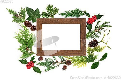 Image of Natural European Winter Flora with Wooden Frame